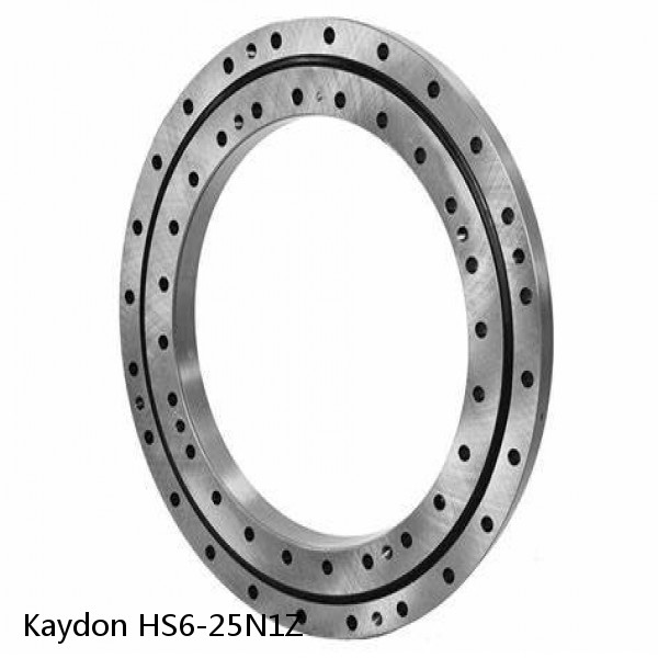 HS6-25N1Z Kaydon Slewing Ring Bearings