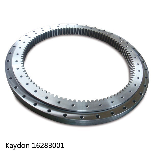 16283001 Kaydon Slewing Ring Bearings