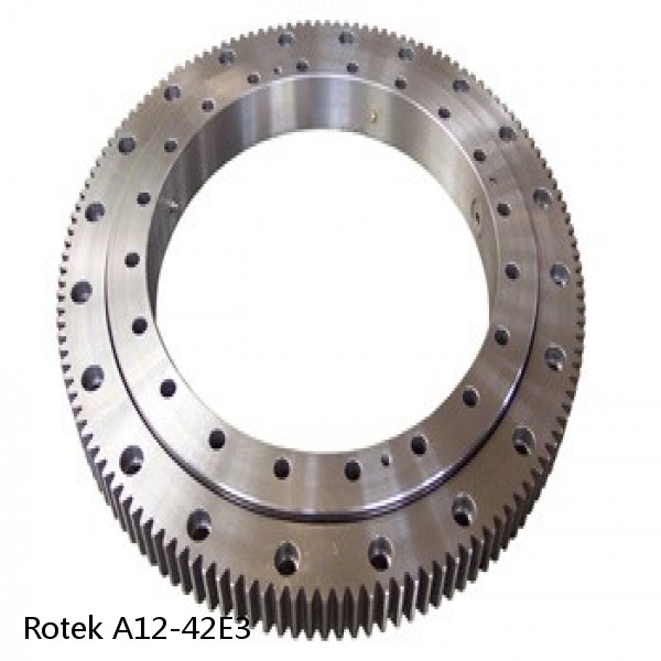 A12-42E3 Rotek Slewing Ring Bearings