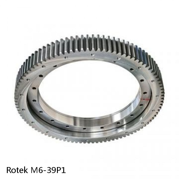 M6-39P1 Rotek Slewing Ring Bearings