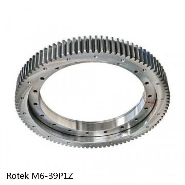 M6-39P1Z Rotek Slewing Ring Bearings