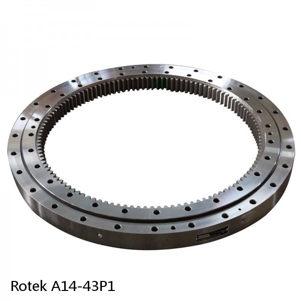 A14-43P1 Rotek Slewing Ring Bearings