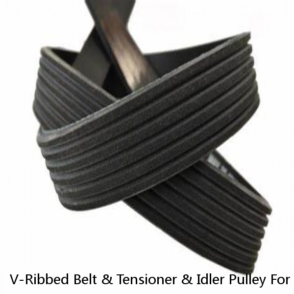 V-Ribbed Belt & Tensioner & Idler Pulley For Kia Sportage Optima Hyundai Sonata
